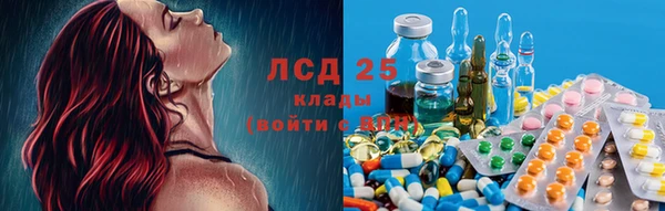 мяу мяу мука Беломорск