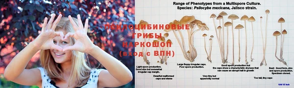 гашиш Белокуриха