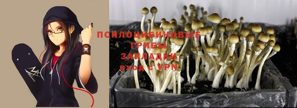 гашиш Белокуриха