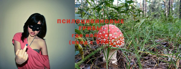 гашиш Белокуриха
