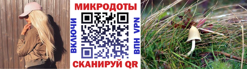 Псилоцибиновые грибы прущие грибы  Новотитаровская 