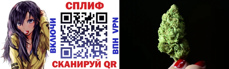 Конопля Bruce Banner  нарко площадка официальный сайт  Новотитаровская  где купить наркотик 